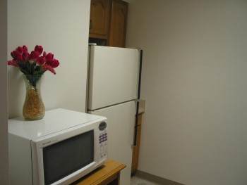 apt4 apt4